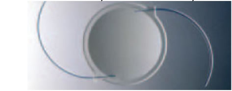 An intraocular lens implant